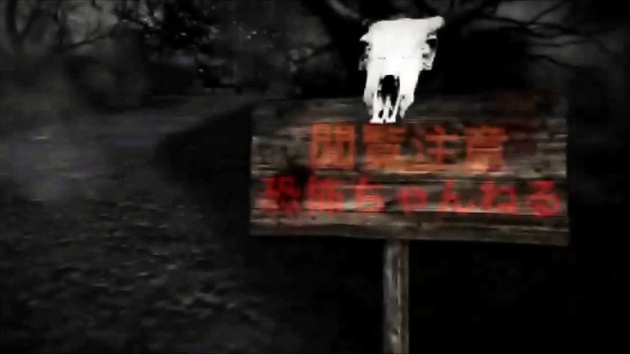 【閲覧注意】エジプトで爆弾解体試みた結果→やばすぎる！閲覧注意