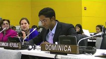 Youth Representative to the United Nations: Dominican Republic