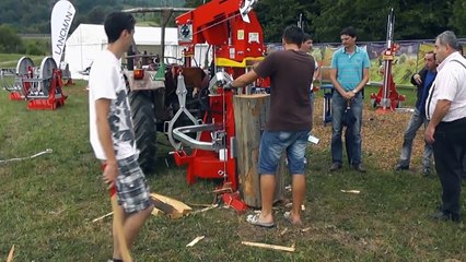 Lancman ST 21 C Holzspalter mit Seilwinde und Stammheber