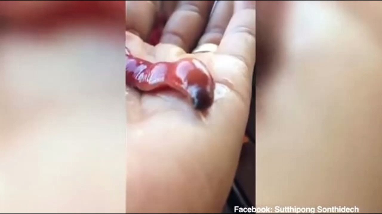 【閲覧注意】こんな不快感湧く生物は初めて見たｗｗｗｗｗｗｗｗ