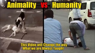 Humanity VS Animality - Watch to see Who Wins...