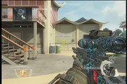 Black Ops 2 4v4 Trolling (headshots only, C4, and Riot shield trolling)