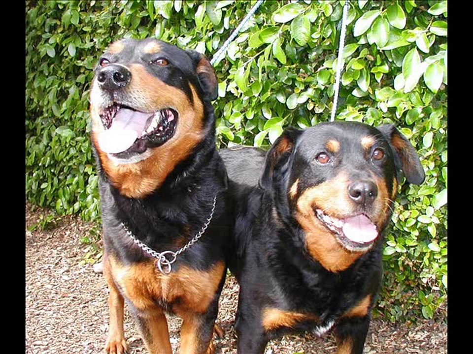 Vybz Kartel - Nuh Fraid a nobody (Neva Scared)