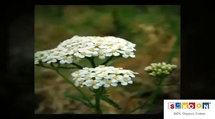 Irregular menstruation