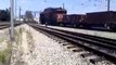 CP 1900 com Mercadorias (o mais longo comboio filmado)