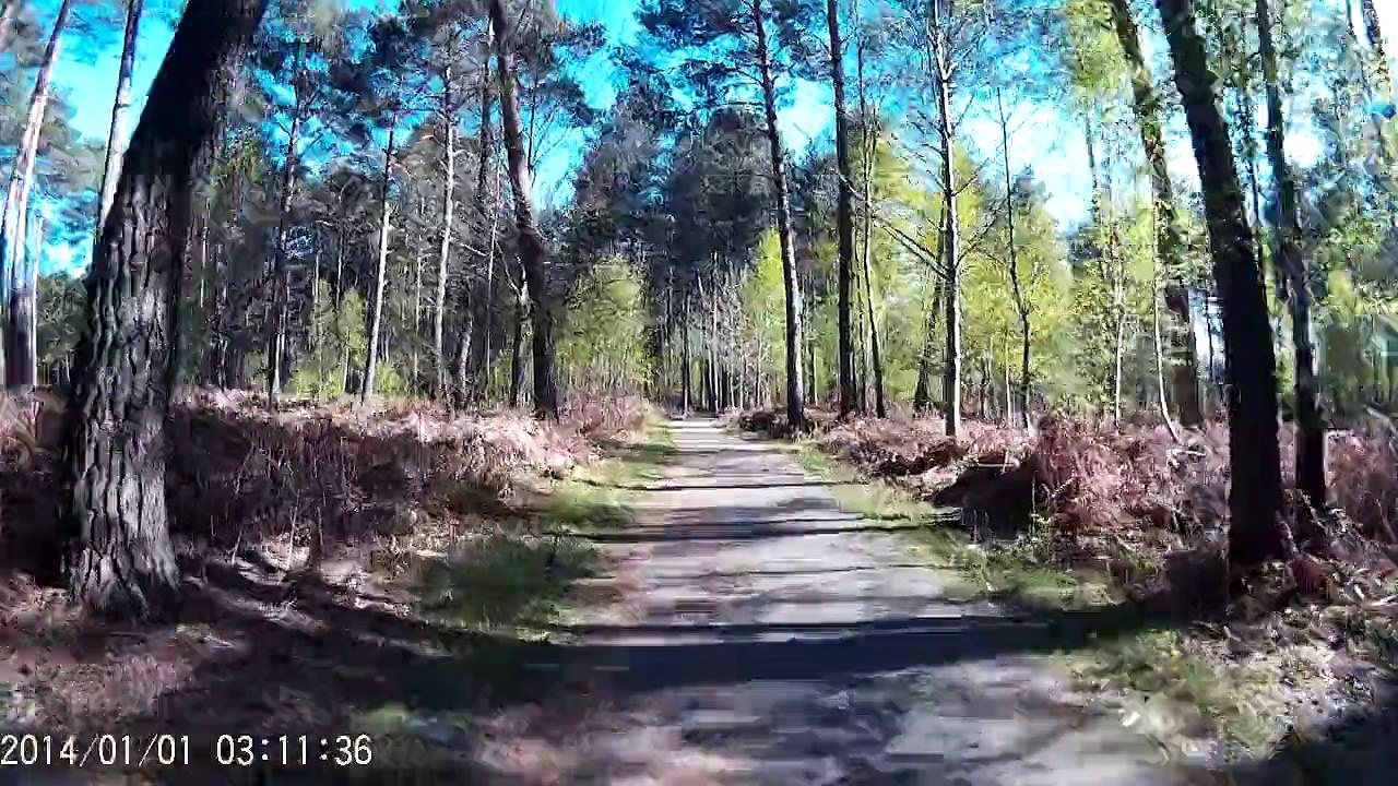 De montfort a rambouillet en vtt partie 18