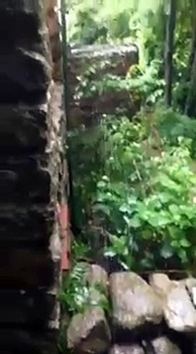 Periscope: Rainy Day in Cape Cod