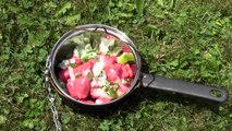 Satellite dish solar cooker - cooking sausage