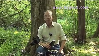 Fisher F75 Metal Detector with Norfolk Wolf, Field Test