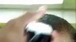 HOLLYWOOD BARBER TIPS LEARN HOW TO CUT HAIR ALEX CAMPBELL ATLANTAS BEST BARBER