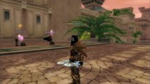 The new AndreyAsasin - Impatient for PVP at lvl 110 (Silkroad Online)