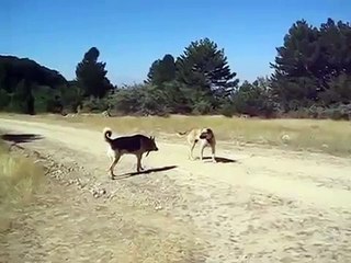 MAMAK ALARKO KOMBİ SERV. 0312-279-15-16