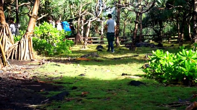 Slackline Traversée extrême sur l'île de La Réunion