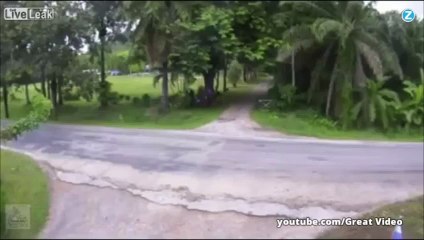 Le choc est si violent qu'ils s'envolent !