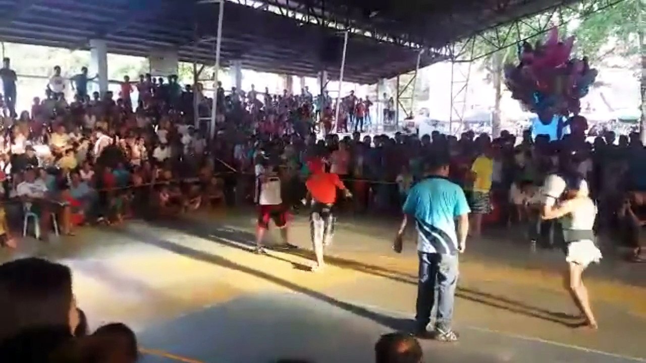 Vamos Isabela Gayweather Boxing