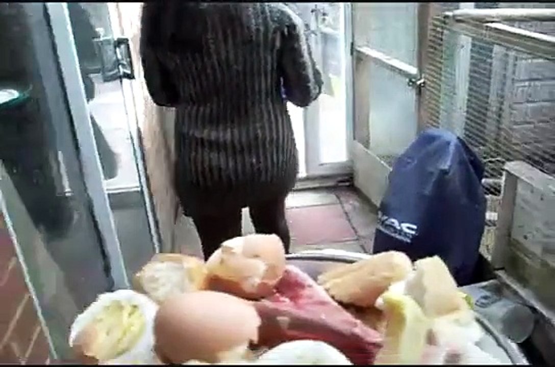 Feeding Time at Raven Haven