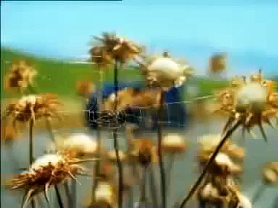 Funny Ads tv spot of Toyota Corolla Reklama corolla