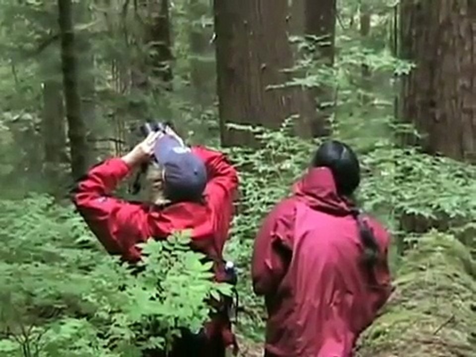 Fledgling owls learn to fly