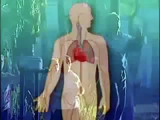 Diferença entre gripe e resfriado