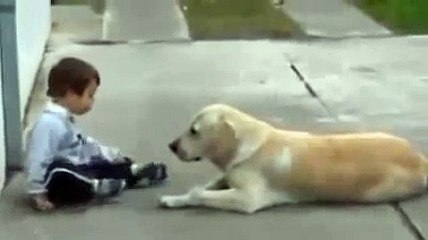 Heart touching video          This is so Beautiful