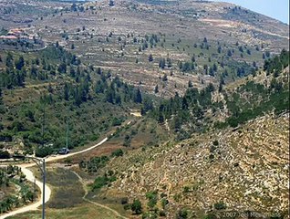 Kudüs - القدس - ירושלים - Jerusalem