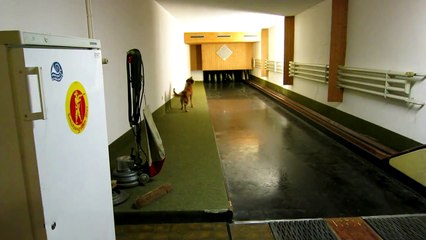 Dinka und die Kegelbahn / Dinka on the bowling range