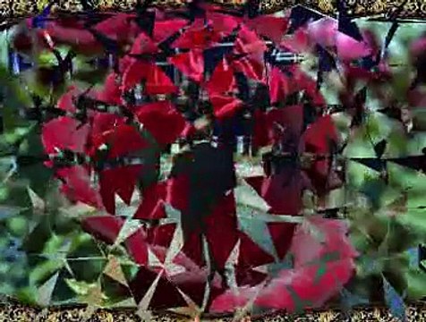 Eyüp UYANIKOĞLU *Şimdi Bahara Erdim Gonca Gonca Gül Derdim*