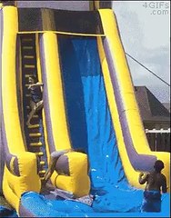 Dog is exited than Baby