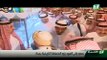 القناة الاولى - خبر جولة سمو الامير سلمان بن عبدالعزيز (حفظه الله) في جدة التاريخية - 2014/7/21