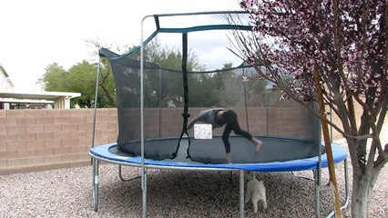 One Legged Gymnastics Challenge! | Jazmyn Strong