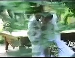 نماهنگ زيبا از يک عروسی در ايران استان گيلان