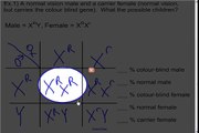 Genetics - 9 - Sex-linked Traits - Sci 10 May30