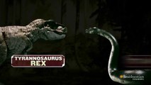 Tyrannosaurus Rex vs Titanoboa - Full Fight [Epic Battle, HD]