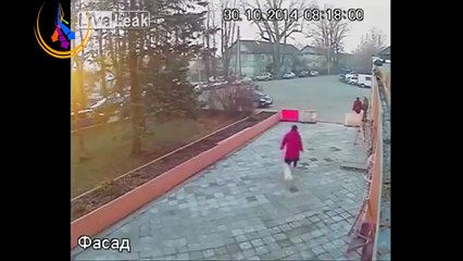 Un perro roba a una mujer / Dog robs at a woman (Russian)