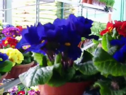 Norooz Mobarak نوروز