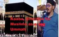 No Muslim ever worships Kaabah in repose to a shik bro