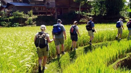 Indonesië rondreis | Indonesië online