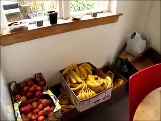 The potato french fries no oil version