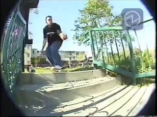 Chaos - 411VM Best Of Volume 5