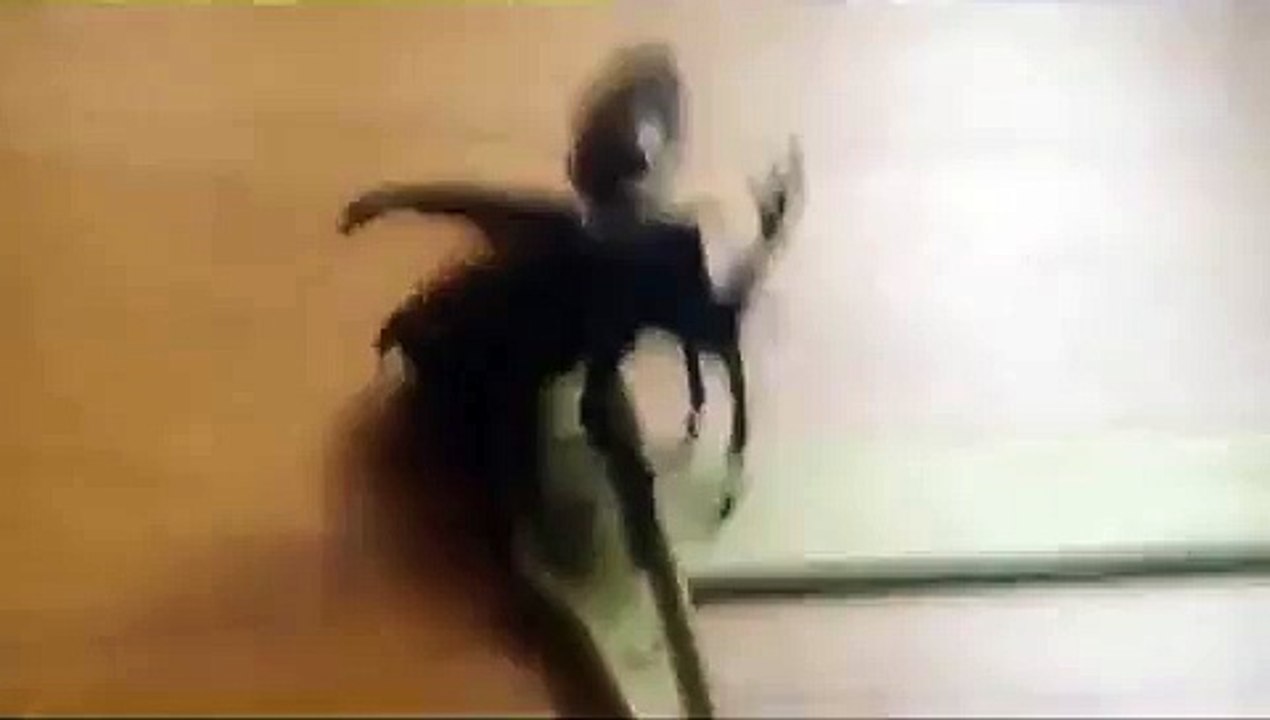 Flying beetle