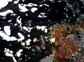 Jackson Pollock, '51