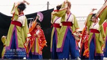 Japanese dance festival in Inuyama, Aichi. Yosakoi team 
