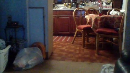 Zazi Zombies in Real Life: Ep 2 Guess im The Zombie!