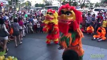 Múa Lân Sư Rồng Ngày Tết 2015 Ở Sài Gòn ° Vietnam Culture