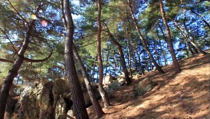 【摂理】の聖地「月明洞(ウォルミョンドン)」新名所－恐竜岩