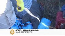 Poisoning horns to save S Africa rhinos