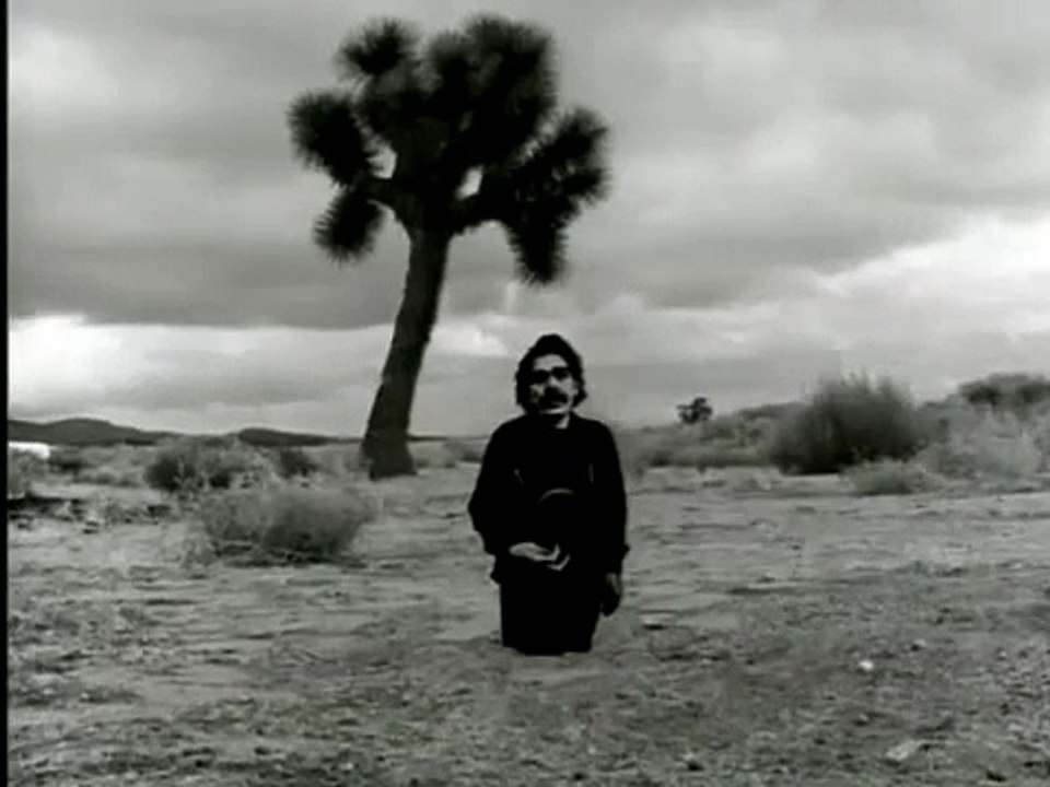 Some YoYo Stuff: An observation of the observations of Don Van Vliet by Anton Corbijn. 1993