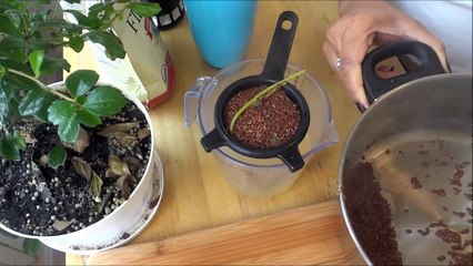 Peppermint & Rosemary Flaxseed Gel Recipe for Natural Hair