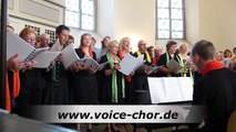 Dir gehört mein Herz - Phil Collins - Tarzan - www.voice-chor.de