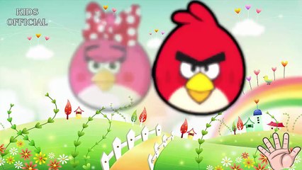 Finger Family ♥ Angry Birds Cartoon ♥ Nursery Rhymes for Children ♥ Daddy Finger song